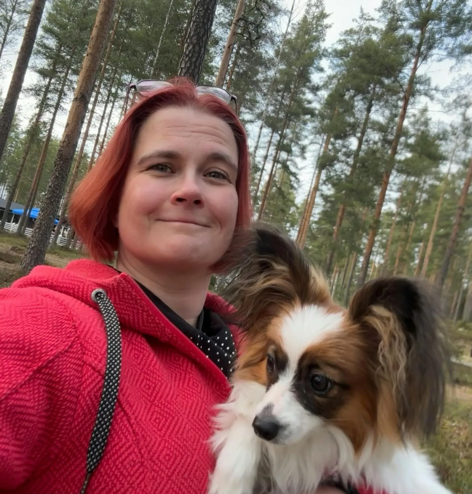 Nainen perhoskoira sylissä
